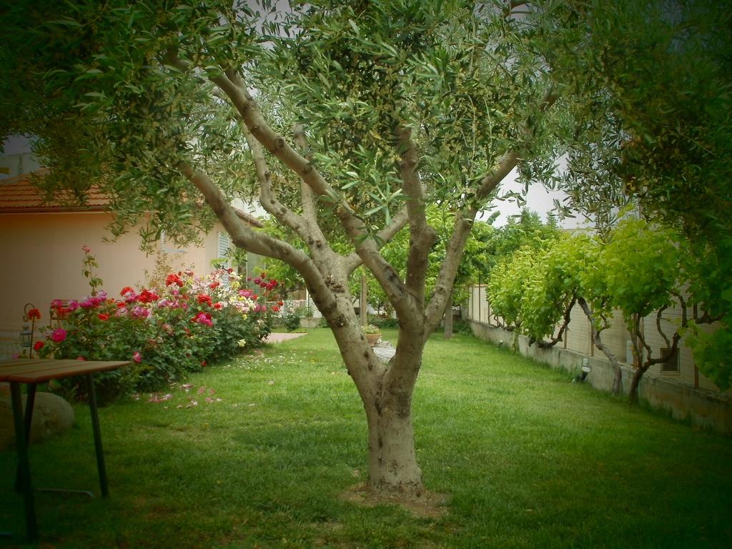 Phyllis Maisonettes Kallithea  Esterno foto